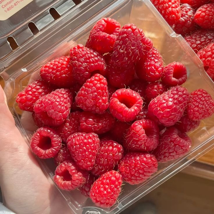 Fresh raspberries